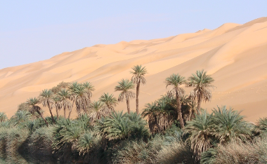 Die Libysche Wüste