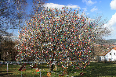 Prachtvoll geschmückter Ostereierbaum in Saalfeld