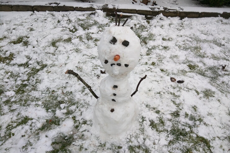 Der Schneemann mit den drei hölzernen Haaren