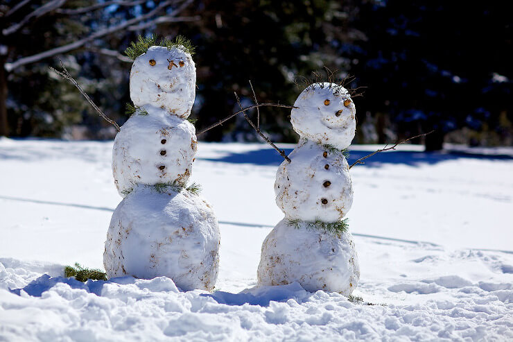 Stacheliges Schneemann-Paar