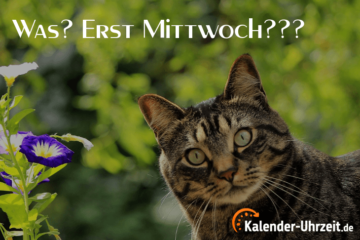 Bedeutung Mittwoch Woher kommt sein Name?