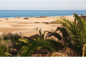 Beliebtes Reiseziel in den Osterferien: Gran Canaria Gran Canaria Maspalmas