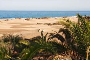 Gran Canaria Maspalmas