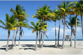 Strand in der Florida