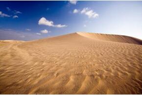 Düne auf Fuerteventura