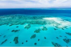 Great Barrier Reef in Australien